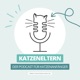 Abkühlung für Katzen – Diese 8 Tipps helfen bei Hitze