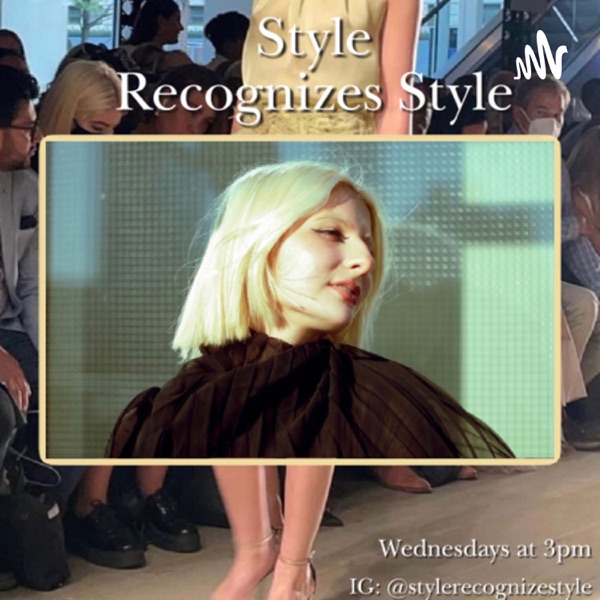 Style Recognizes Style