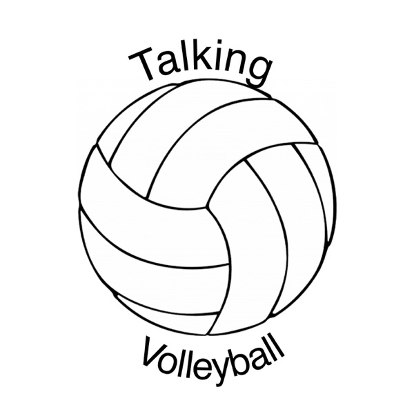Talking Volleyball Artwork