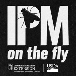 IPM On The Fly