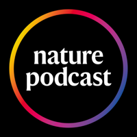 How the Australian wildfires devastated the ozone layer