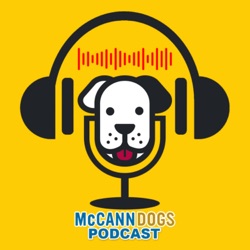 Living with Cats & Dogs – McCann Professional Dog Trainers