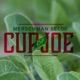 Meristem - New at Merschman Seeds