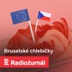 „Plesnivé a smrdí to.“ Češi mají k EU podezřívavý vztah