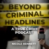 Beyond Criminal Headlines artwork