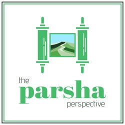 Parshas Shelach, Envision the Promise