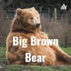 Big Brown Bear artwork