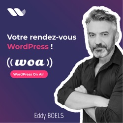 WOA! (WordPress On Air) Hors série #1 - Ronan Chardonneau, Matomo