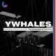 YWhales: Business People Talking The Business of Crypto