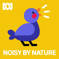 Noisy by Nature podcast
