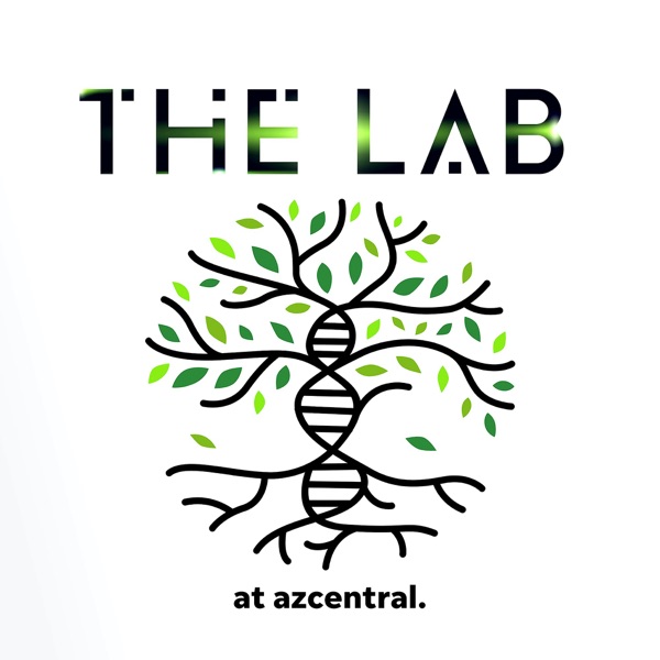 The Lab at azcentral Artwork