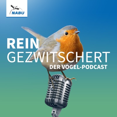 REINGEZWITSCHERT – der Vogel-Podcast:NABU
