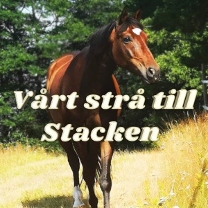 Vårt strå till Stacken