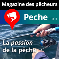  Où et quels poissons pêcher à la mouche en Bretagne cet été 