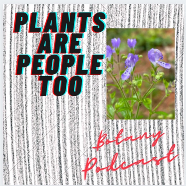 Plants are People too Artwork