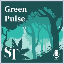 S1E66: Article 6 - Rise of the carbon markets?: Green Pulse Ep 66