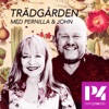 Trädgården med Pernilla och John