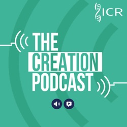 Homo Erectus: The Shocking Truth About the "Ape Man" | The Creation Podcast: Episode 68
