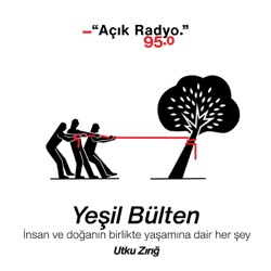 Yeşil Bülten