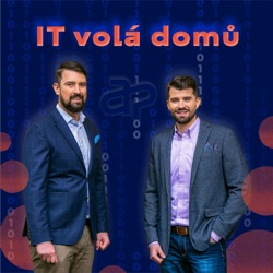 Šel na 100 pohovorů během JEDNOHO roku. Kolik nabídek v IT dostal? | Adam Vesecký | IT Volá domů  #16