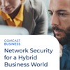 Network Security for a Hybrid Business World artwork