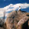 Zen Buddhist Temple's Podcast