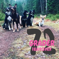 72 Grader Podcast - Hundsnack