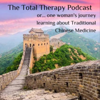 #3 Paula Dean - How TCM can help with fertility