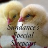 Sundance Sleepcast's Podcast artwork