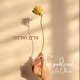 על הקסם שבאקראיות - סרנדיפיטי עם אסנת מירון