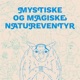 Mystiske og magiske natureventyr