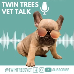 Does Grain-Free Dog Food Cause Heart Disease?│Twin Trees Vet Talk (FREE VET ADVICE PODCAST)