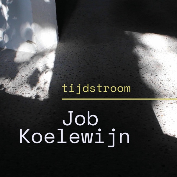 Job Koelewijn (kunstenaar) photo