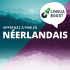 Apprendre le néerlandais avec LinguaBoost - LinguaBoost