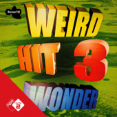 Weird Hit Wonder - NPO Radio 2 / VPRO