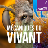 Mécaniques du vivant - France Culture