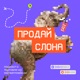 Кому ты продаешь свои товары? Как получить больше продаж на маркетплейсах, зная о покупателях все