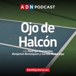 Ojo de Halcón, entre la Copa Davis y el retiro de Roger Federer