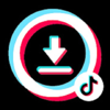 Tiktok Downloader 4x - Tiktok Downloader 4x