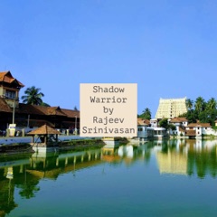 Shadow Warrior by Rajeev Srinivasan