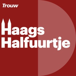 Herhaling: Nederland verandert in een vechtdemocratie, ziet Hans Goslinga