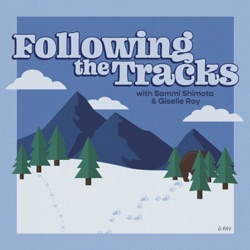 Following the Tracks