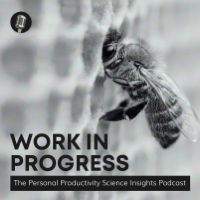 Steuart Snooks: Organizing Email to Escalate Self-productivity | Work in Progress #5