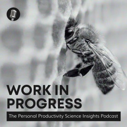 Julie Miller Davis: Time Management: Master Your Time & Productivity | Work in Progress #31