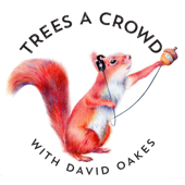 Trees A Crowd - David Oakes