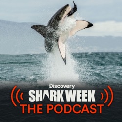 Shark Week: The Podcast