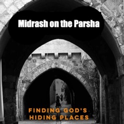 Midrash on every Parsha in the Torah. An intriguing pathway to a deeper understanding of Judaism. 