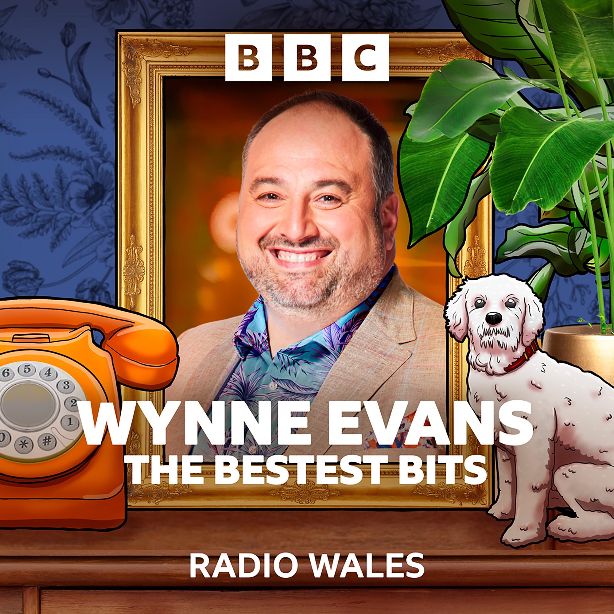 how-do-you-get-a-urine-sample-from-a-dog-wynne-evans-the-bestest