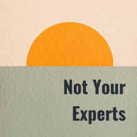 Not Your Experts: Business podcast