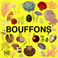 Bouffons podcast